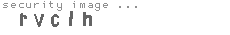 security image
