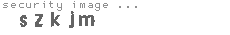 security image
