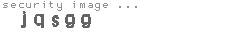 security image