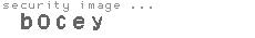 security image
