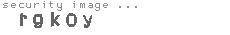 security image