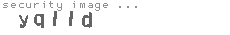 security image