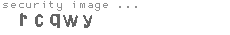 security image