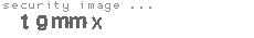 security image