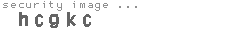 security image