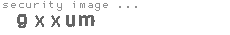 security image