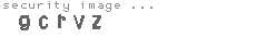 security image