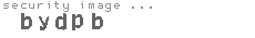 security image