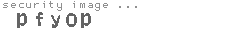 security image