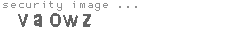 security image