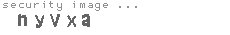 security image