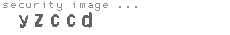 security image