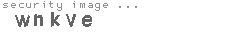 security image
