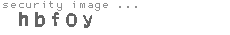 security image