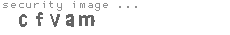 security image