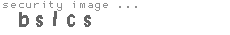 security image