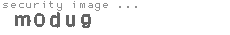 security image