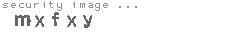 security image