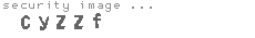 security image