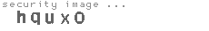 security image