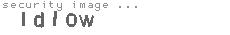 security image