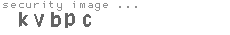 security image