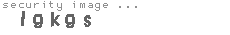 security image