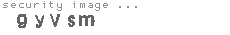 security image