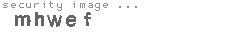 security image