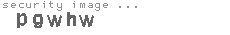 security image