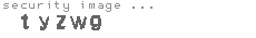 security image