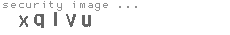 security image