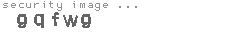 security image