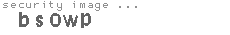 security image