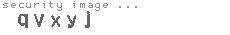 security image
