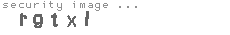 security image