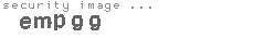 security image