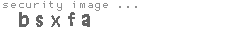security image