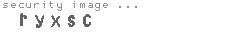 security image