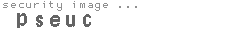 security image