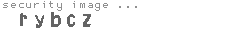 security image