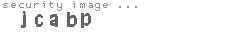 security image