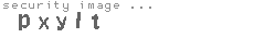 security image