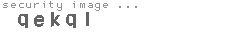security image