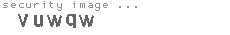 security image
