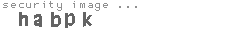 security image