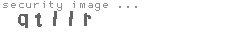 security image