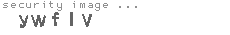 security image