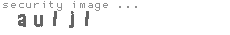 security image
