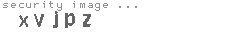 security image